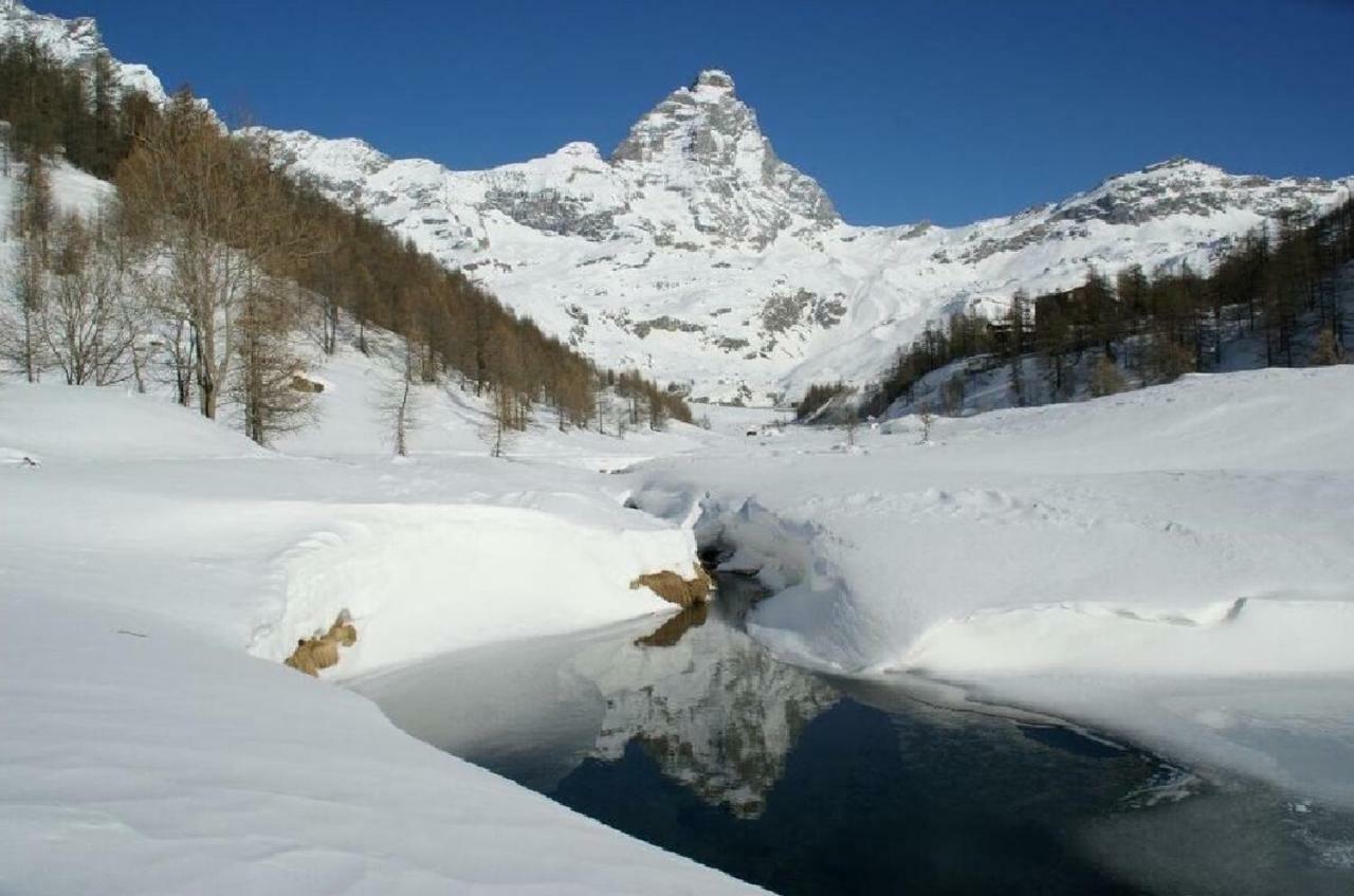 Cervinia Ski In Ski Out - Studio On The Slopes 브루일서비니아 외부 사진